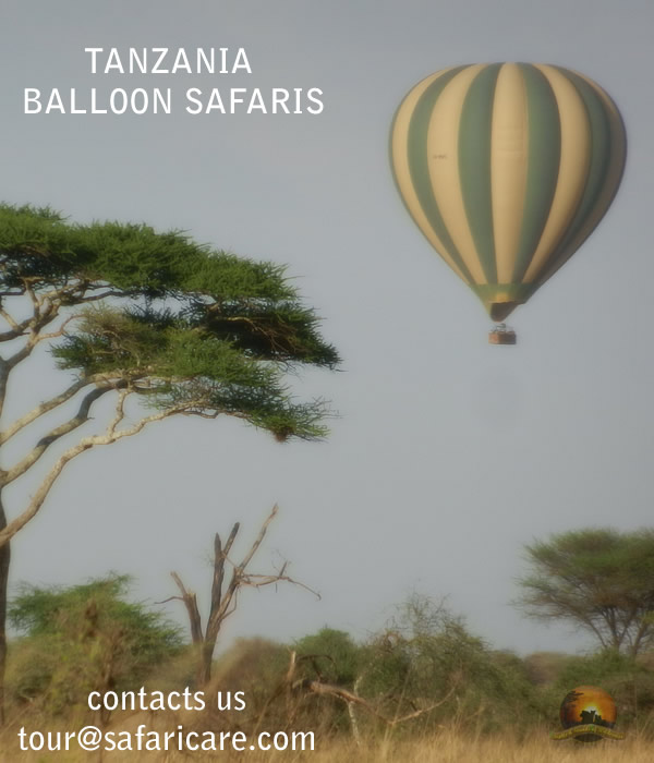 Tanzania Balloon safaris
