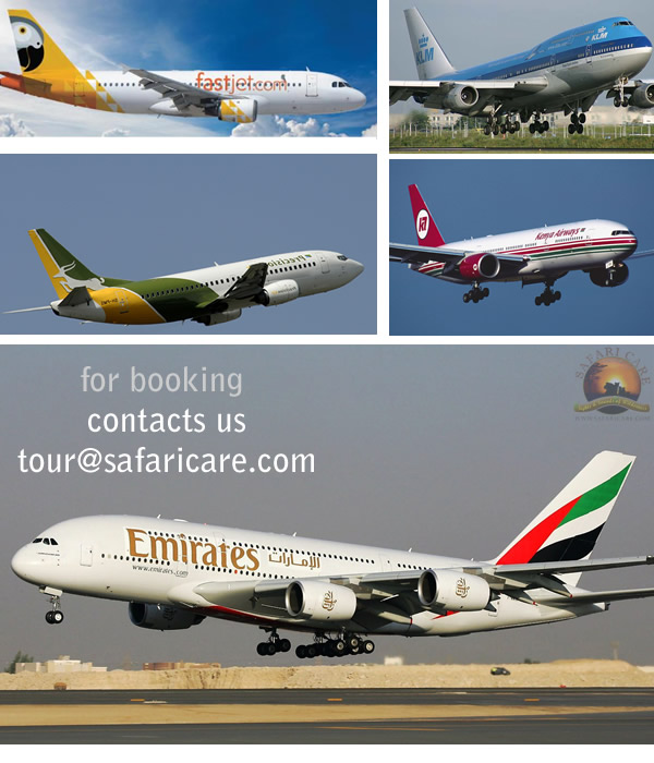 Flight Booking Tanzania