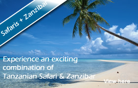 Experience an exciting combination of Tanzanian Safari & Zanzibar